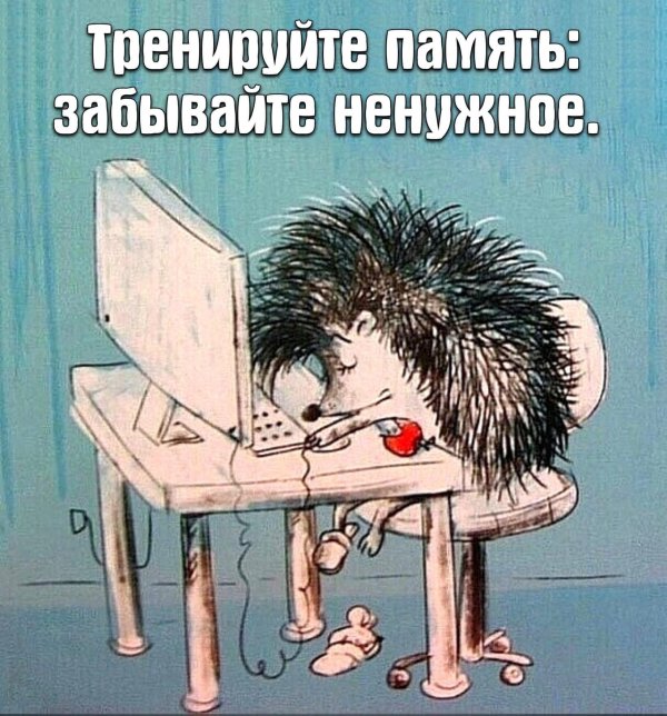 ежик иллюстрация