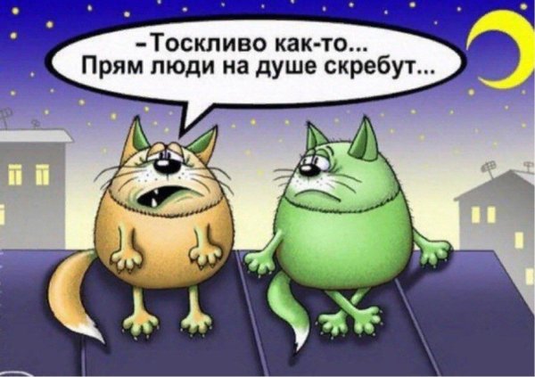 веселые карикатуры