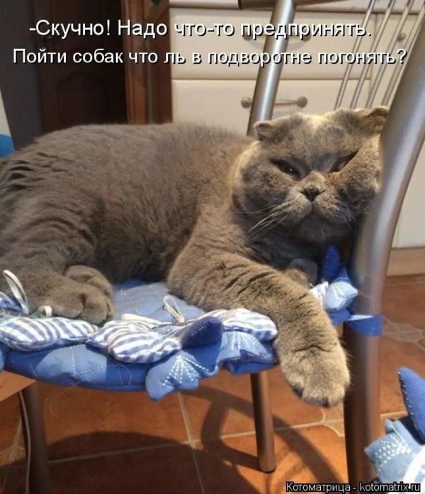 ленивые выходные