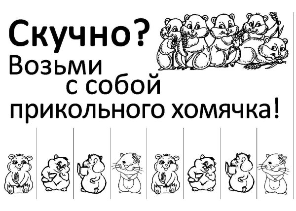 раскраска хомячка