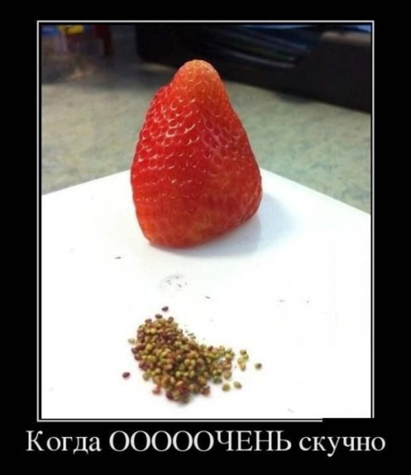 плод клубники
