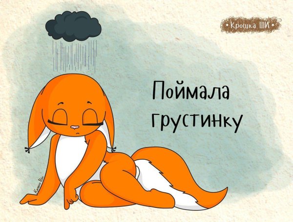 крошка ши