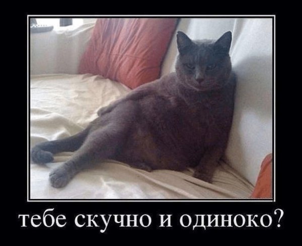 жутко скучно