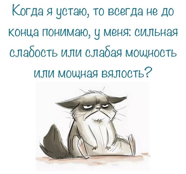 понедельник прикольные