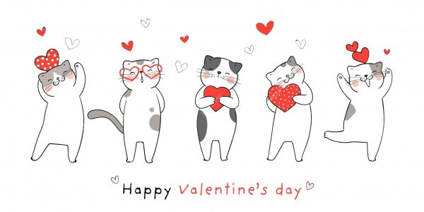 влюбленные коты