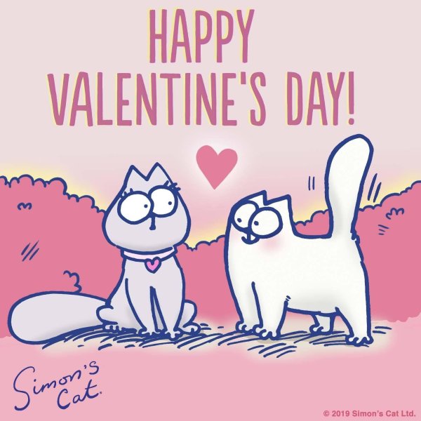 кот саймона