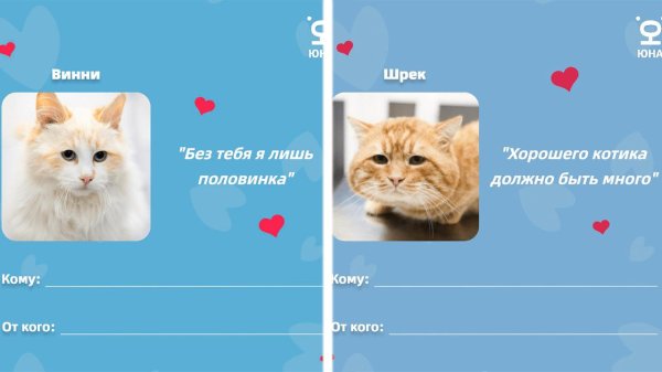 кот валентинка