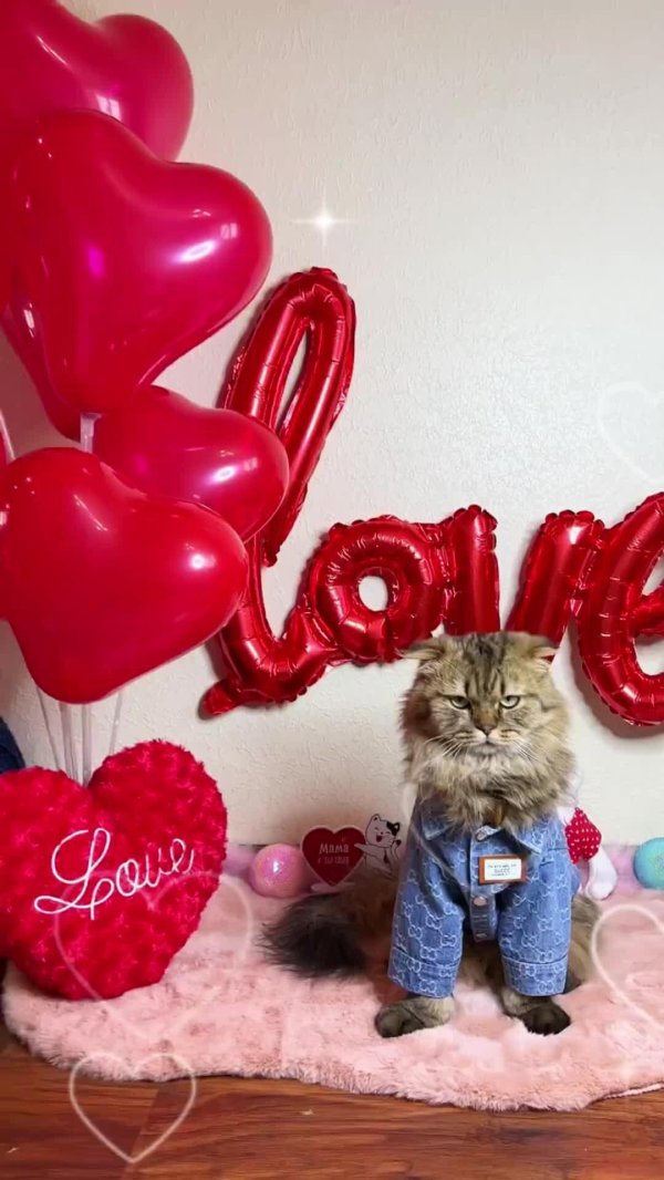 шарики сердечки