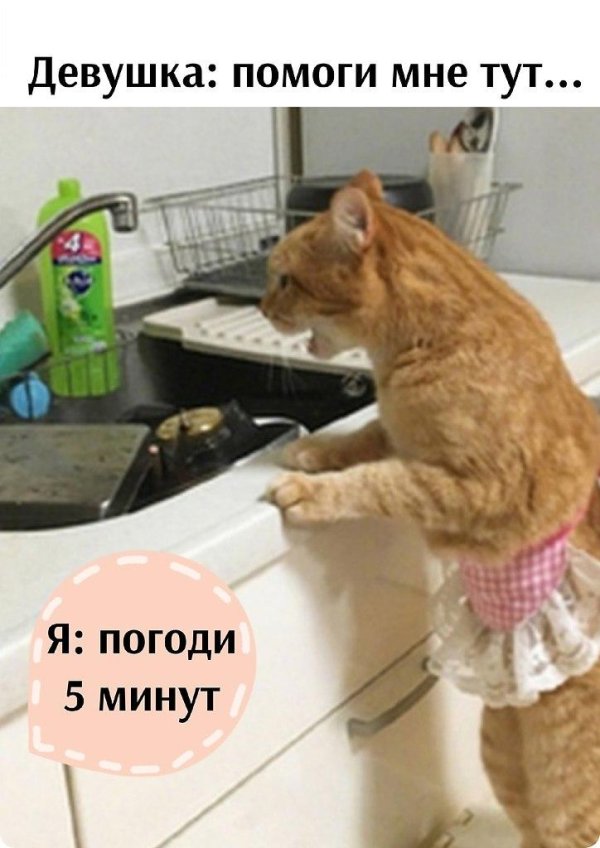 никакой помощи в этом доме