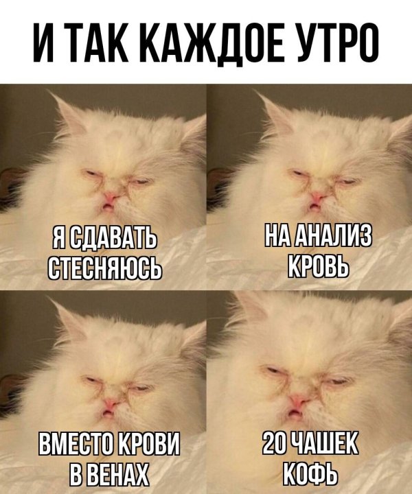 каждое утро