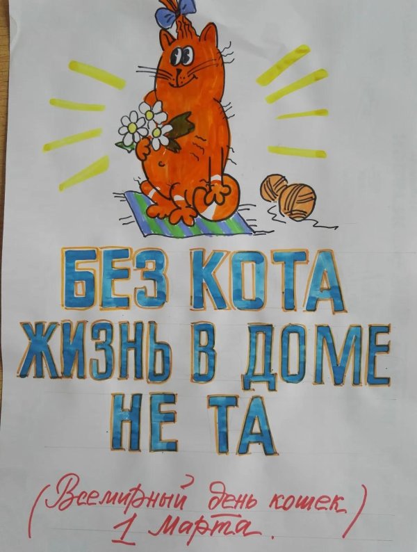жизнь без кота