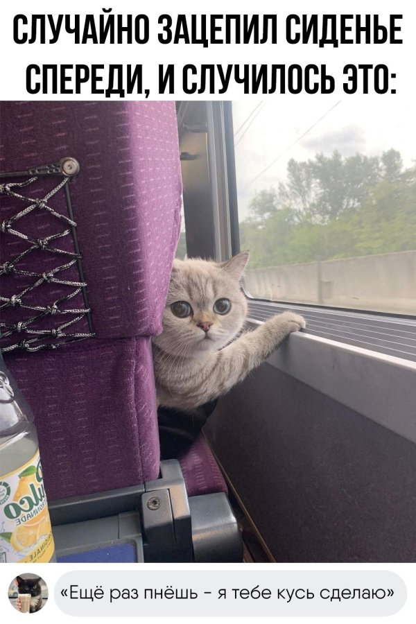 прикольные комментарии