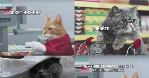 пакет нужен