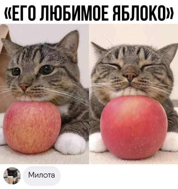 прикольные комментарии