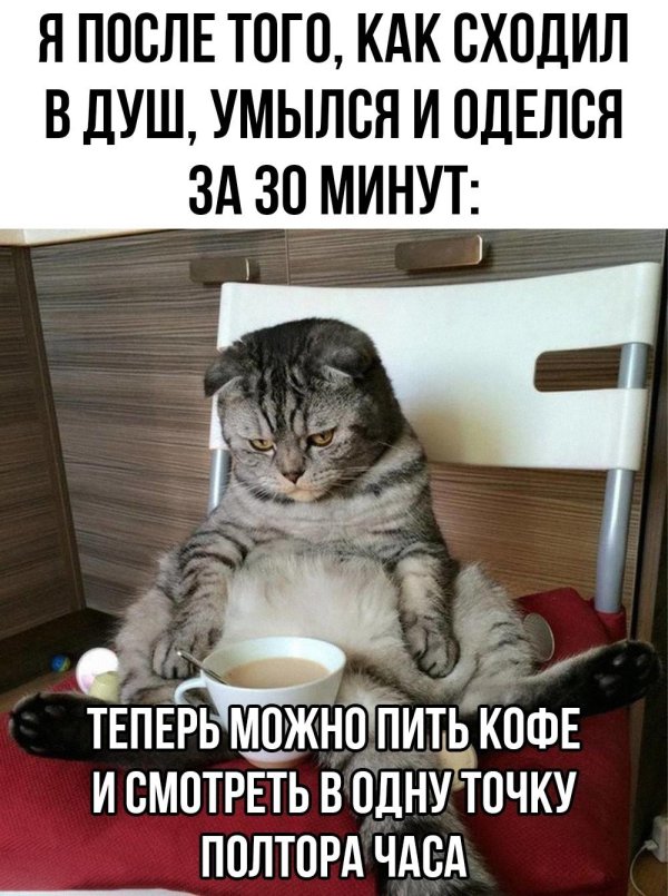 проснулся прикол