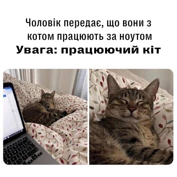 мем про новый год