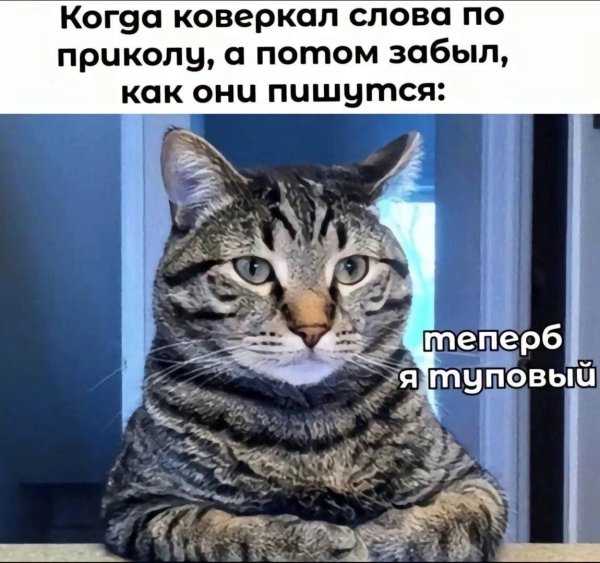 серьезный разговор