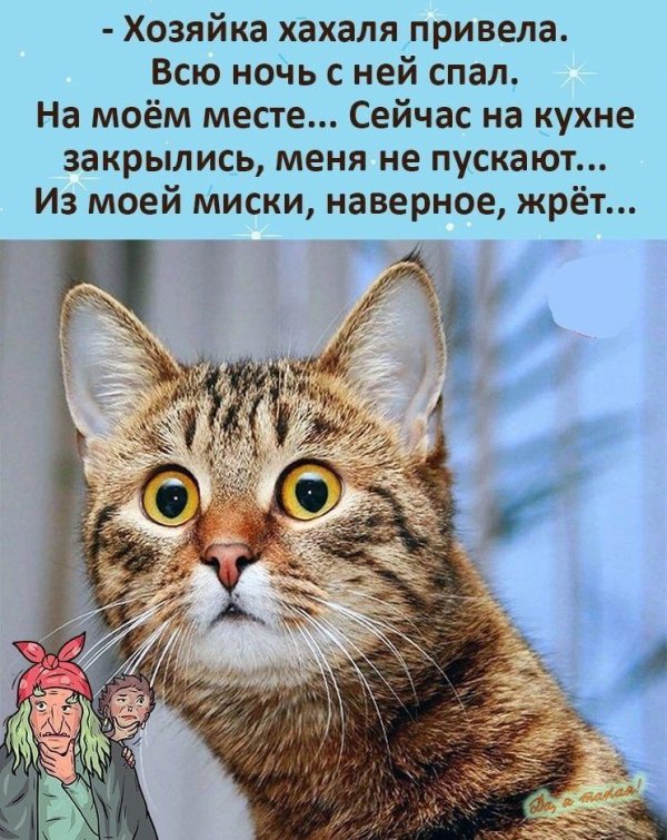 прикольные анекдоты