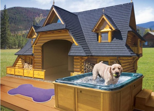 собачья конура будка