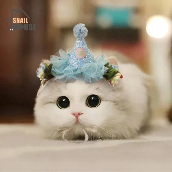 милая кошка