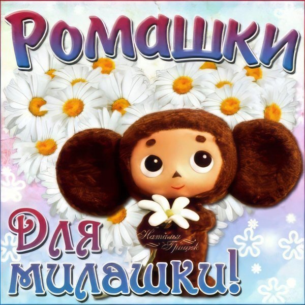 милашка открытка