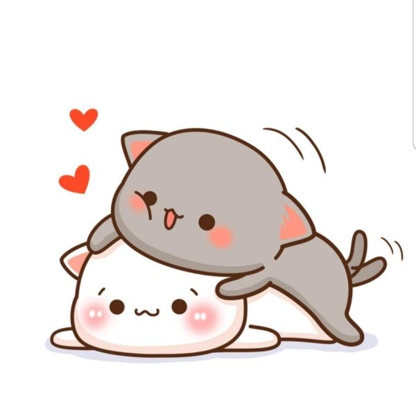 кавайные котики парочка