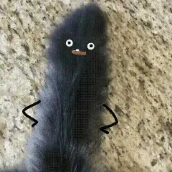 смешной хвост