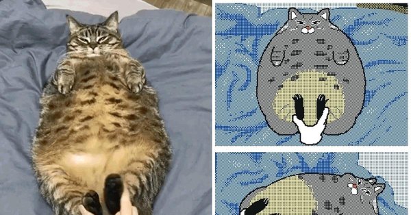 толстые коты