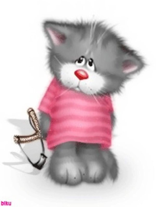 коты алексея долотова