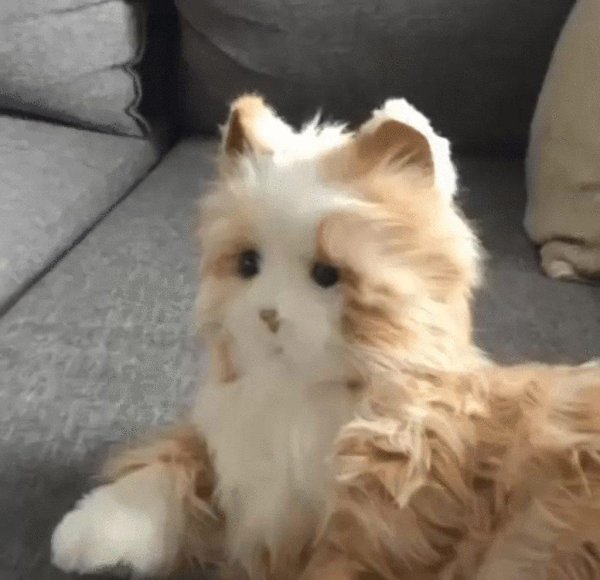 игрушка мягкая