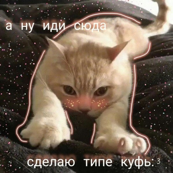 мем с котами