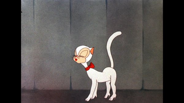 том и джерри toodles