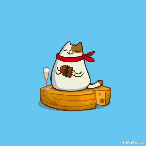 пятничный котик