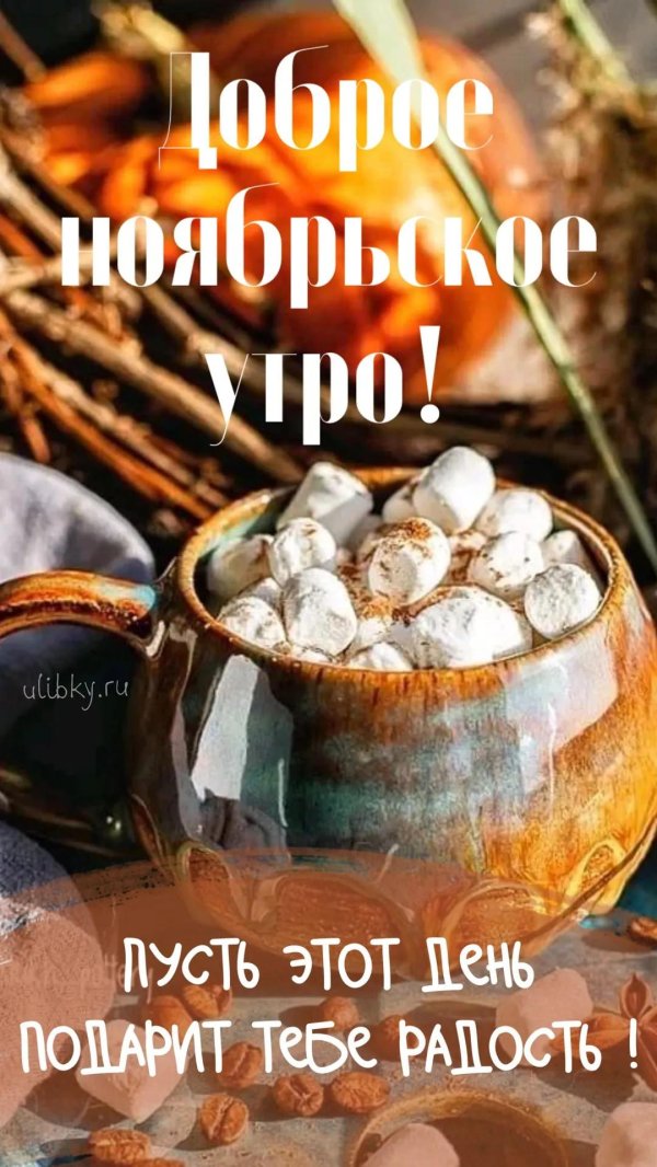 Доброе ноябрьское утро