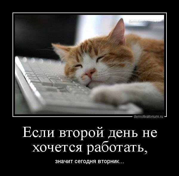 скучает за компьютером