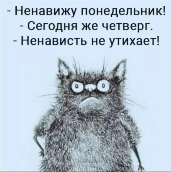 веселые высказывания