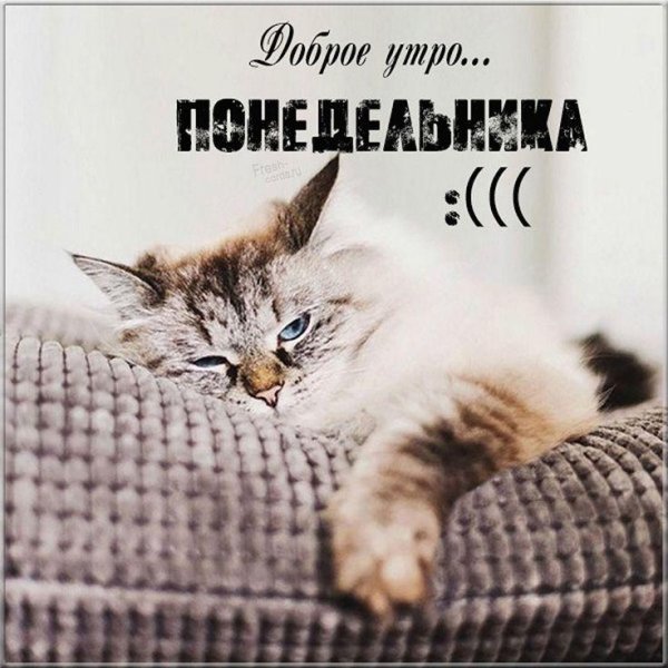 понедельник утро