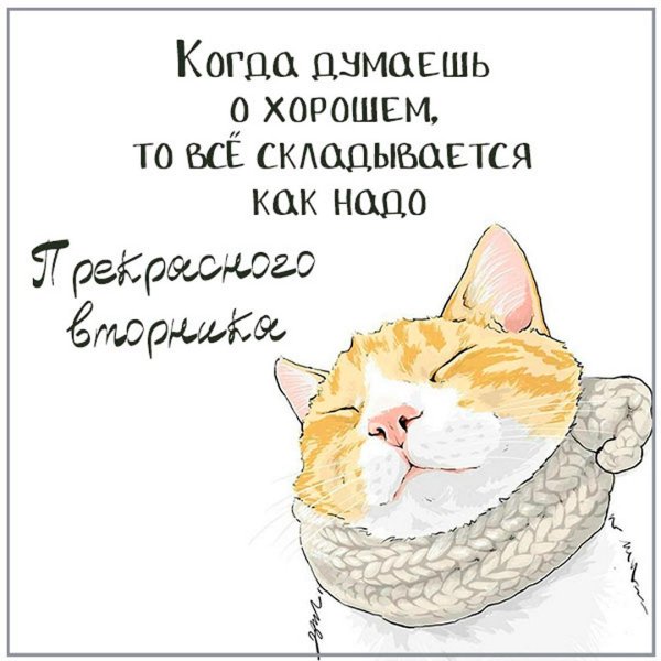 доброе утро вторника смешные