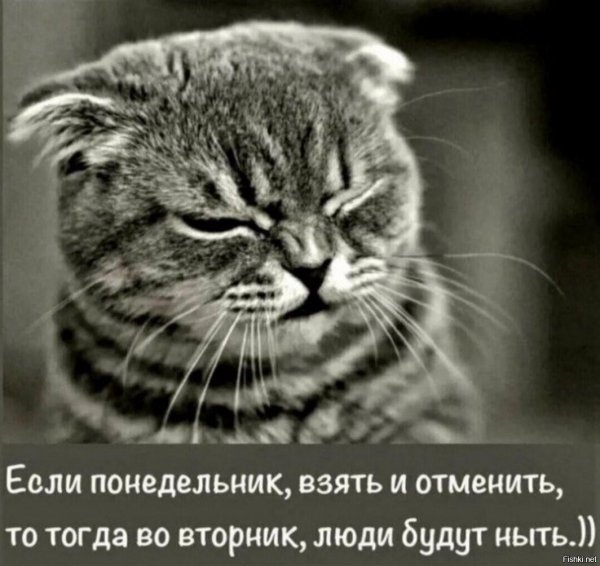 и снова понедельник