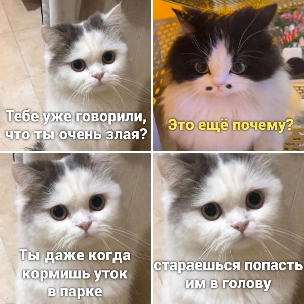 позитивные мемы