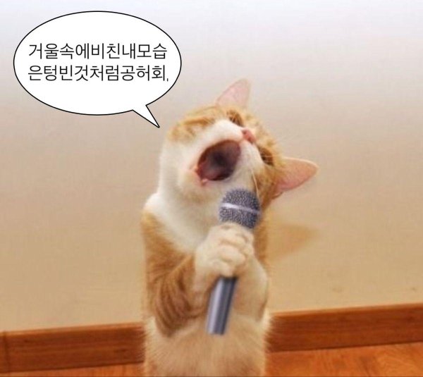 singing cat