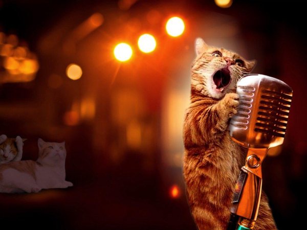 поющие животные