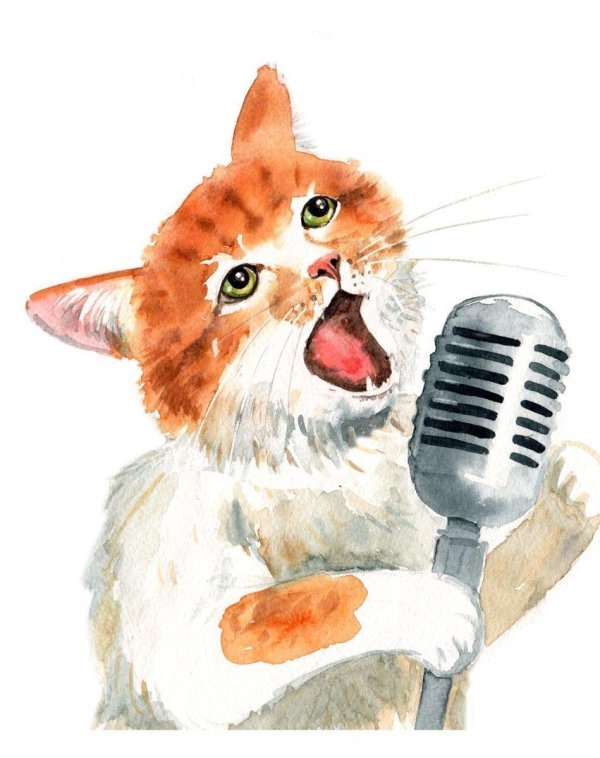 кот поёт