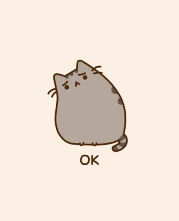 pusheen cat