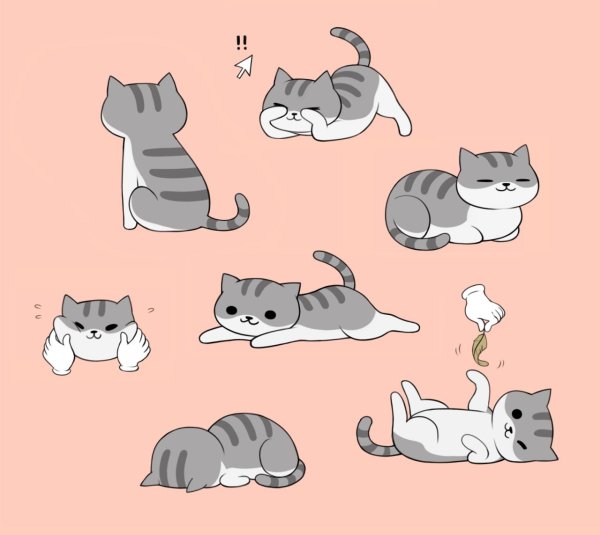 референсы котиков