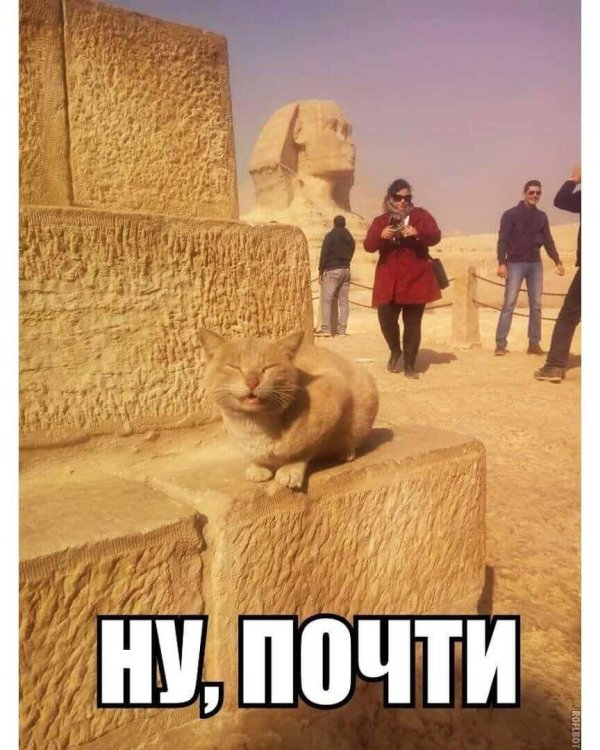 сфинкс древнего египта