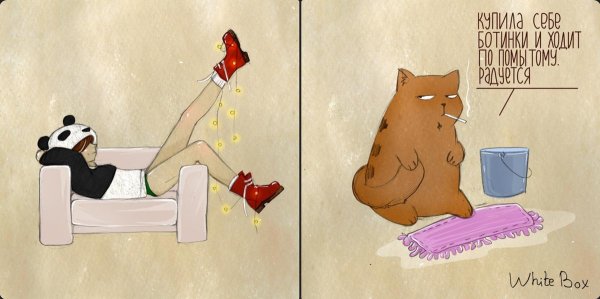 панда девочка