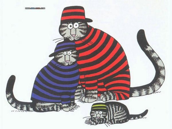 коты клибана