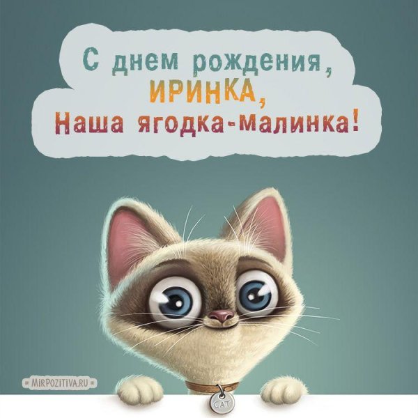 с днём рождения иришка прикольные и смешные