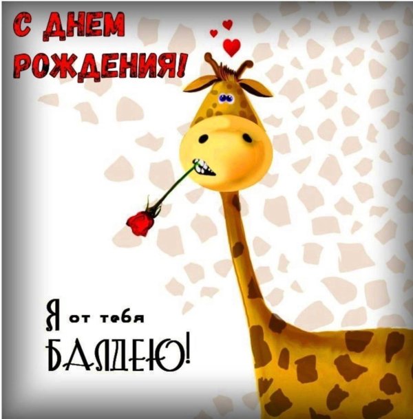 я от тебя балдею жираф